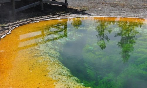 an introduction to thermal physics pdf